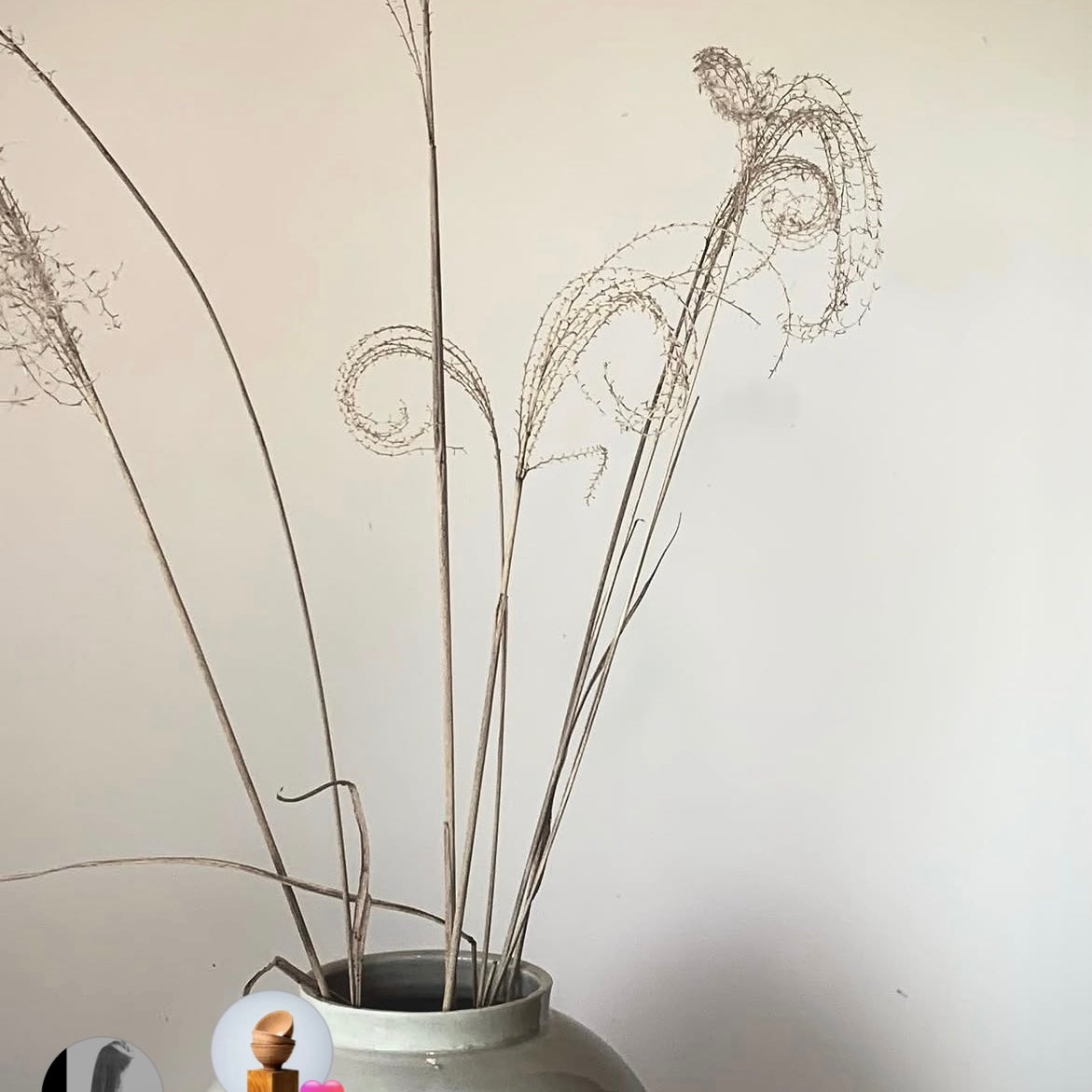 矢野直人 絵唐津茶碗