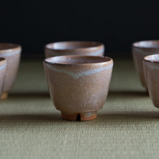 UXYT13 吉野桃李 萩汲出し 揃い