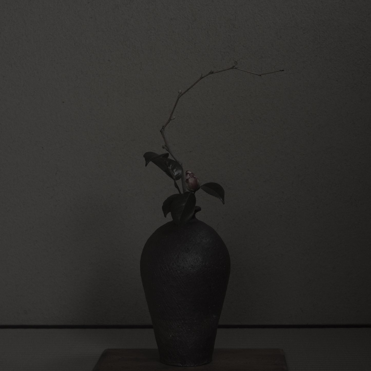 TS10 南蛮花入 竹下鹿丸