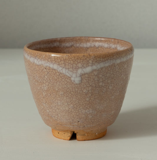 萩汲出し 6客揃