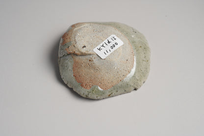 KY1D 蓮葉盃 共箱 梶原靖元