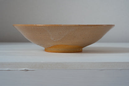 YT25B Raw plate 22cm Tori Yoshino