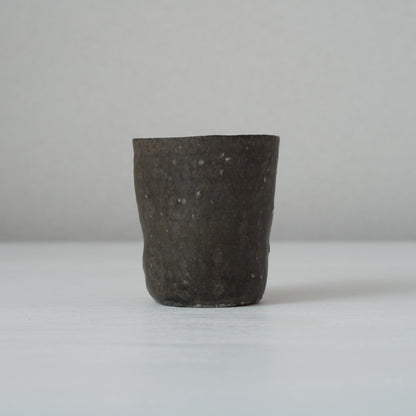 ko.KY05.0 梶原靖元　黒出豹杯