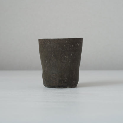 ko.KY05.0 梶原靖元　黒出豹杯