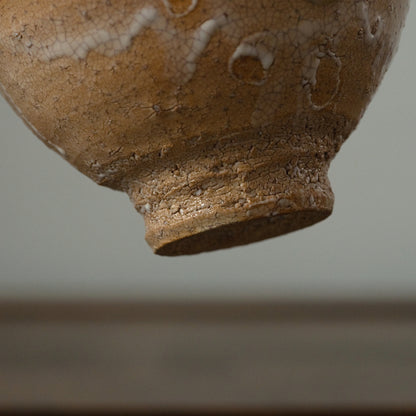 YTEX 萩井戸茶盌  吉野桃李