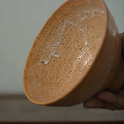 YTEX 萩井戸茶盌  吉野桃李