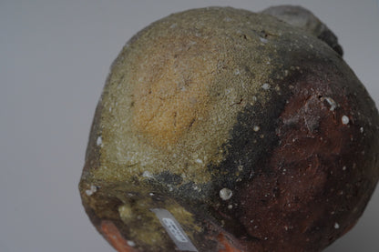 TQ2 蹲　共箱　谷穹