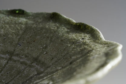 TY8 自然釉蓮葉皿　辻村唯